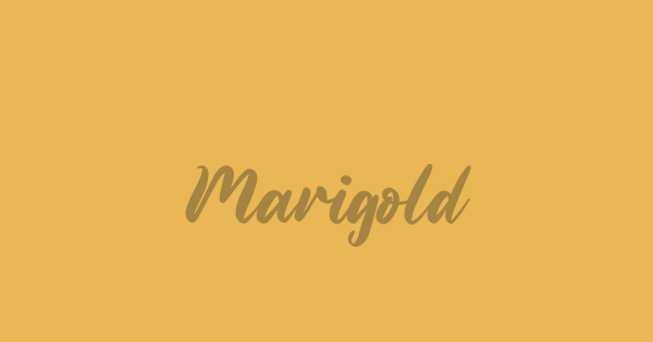 Marigold font thumbnail