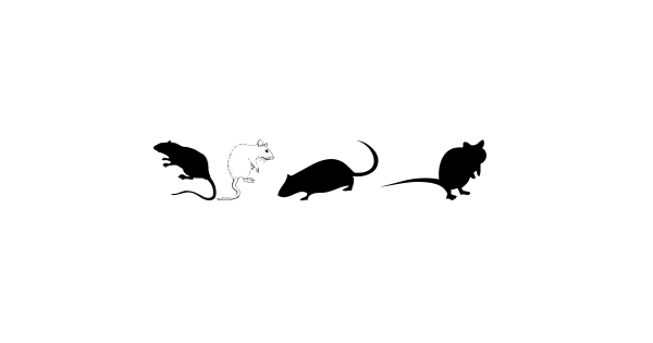 Rats font thumbnail