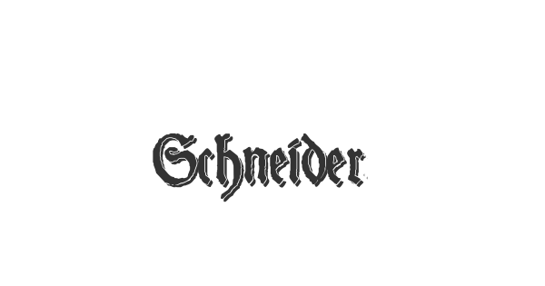 Schneider Buch Deutsch font thumbnail